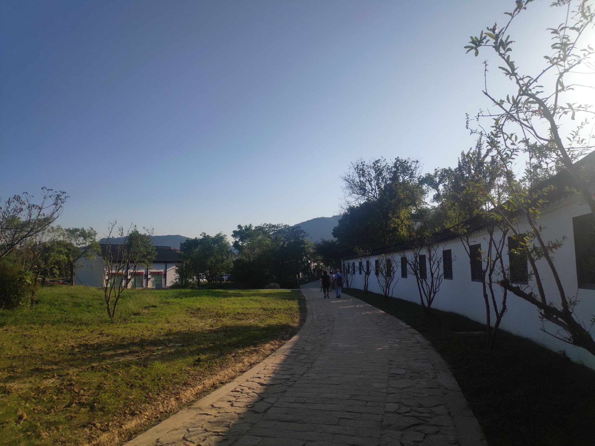 IMG_20211003_160004_compressed.jpg