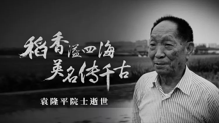 60a8b964d0157.webp
